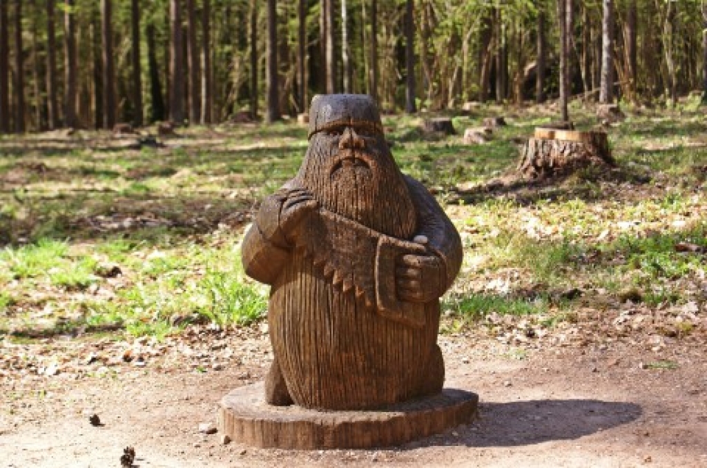 Bērni ar īpašām vajadzībām svētdien ne tikai sportos, bet arī priecāsies par Rūķīšu mežu Tērvetes dabas parkā.
Autors: no www.poga.lv