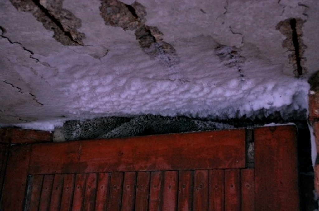 Dāviņu ciemata Bauskas ielas 11. māja šogad piedzīvo grūtus laikus. Pagrabos un neapdzīvotajos dzīvokļos sasalušas ūdens caurules, atstājot māju bez ūdens. Antisanitārie apstākļi nav vienīgā nama iedzīvotāju problēma, jo arī mājas...
Autors: Uldis Varnevičs
