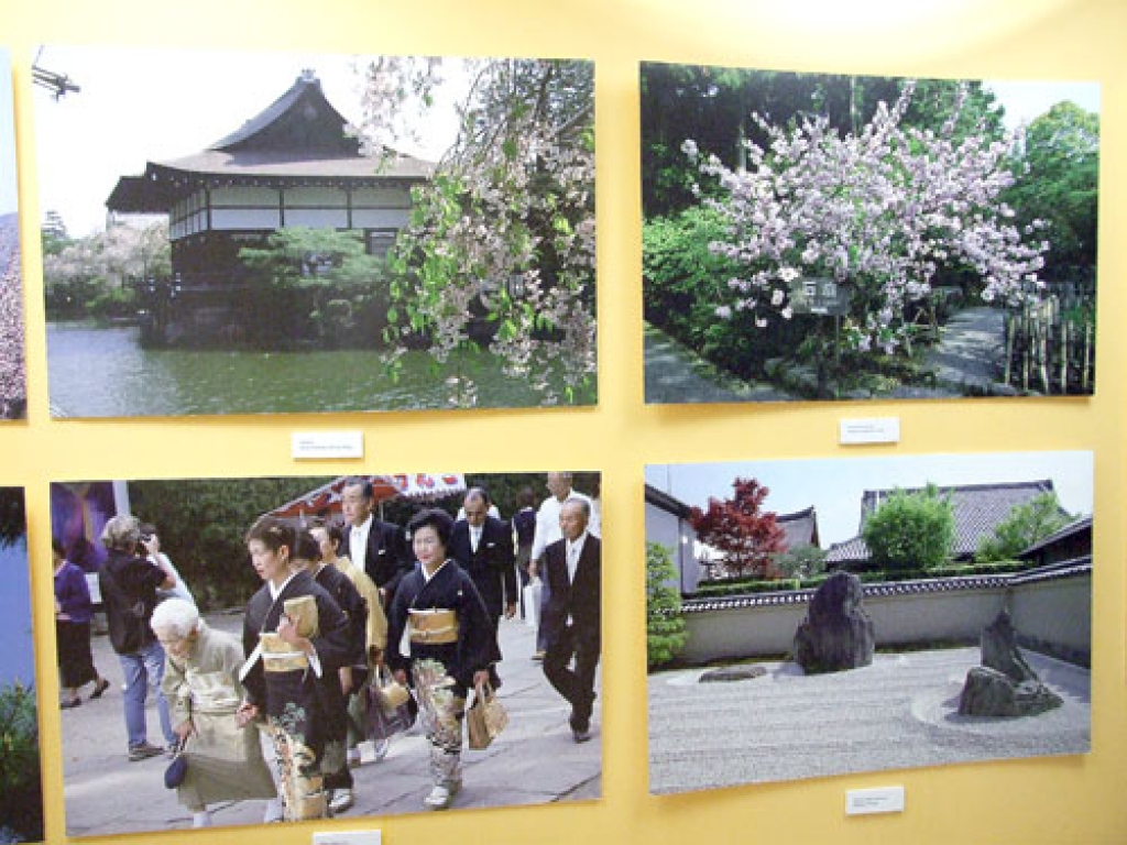 Rundāles novada jaunajā zālē 26. februārī atklāja Armanda Pundura fotoizstādi «Japānas ķiršu dārzi ziedēšanas laikā». Teātra studijas «Savējie» jaunieši lasīja Margaritas Putniņas haikas «Sniega orhideja» no poētiskās grāmatas «Sniegs»....