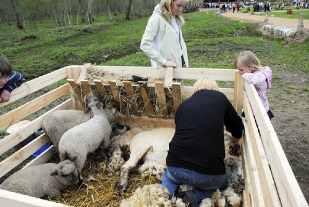 Vecumnieku novada Bārbeles pagastā, Ausekļu dzirnavu brīvdabas muzejā, 8. maijā bija sarīkojums «Pavasara darbi lauku sētā». Ausekļu dzirnavu saimnieks Mārtiņš Mediņš bija sarūpējis plašu programmu. Visu dienu lustēs un darbos muzeja...
Autors: Juris Iļņickis