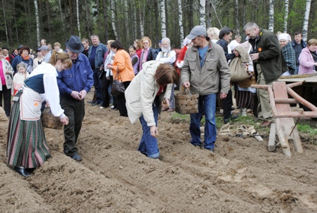 Vecumnieku novada Bārbeles pagastā, Ausekļu dzirnavu brīvdabas muzejā, 8. maijā bija sarīkojums «Pavasara darbi lauku sētā». Ausekļu dzirnavu saimnieks Mārtiņš Mediņš bija sarūpējis plašu programmu. Visu dienu lustēs un darbos muzeja...
Autors: Juris Iļņickis