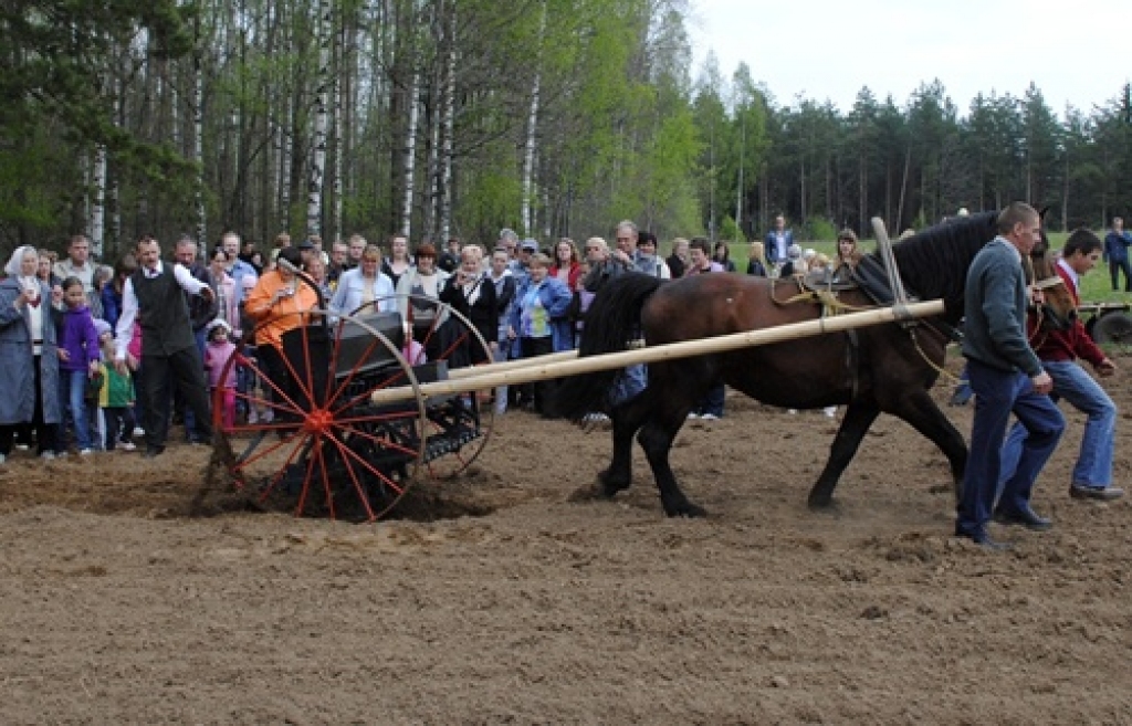 Vecumnieku novada Bārbeles pagastā, Ausekļu dzirnavu brīvdabas muzejā, 8. maijā bija sarīkojums «Pavasara darbi lauku sētā». Ausekļu dzirnavu saimnieks Mārtiņš Mediņš bija sarūpējis plašu programmu. Visu dienu lustēs un darbos muzeja...
Autors: Juris Iļņickis
