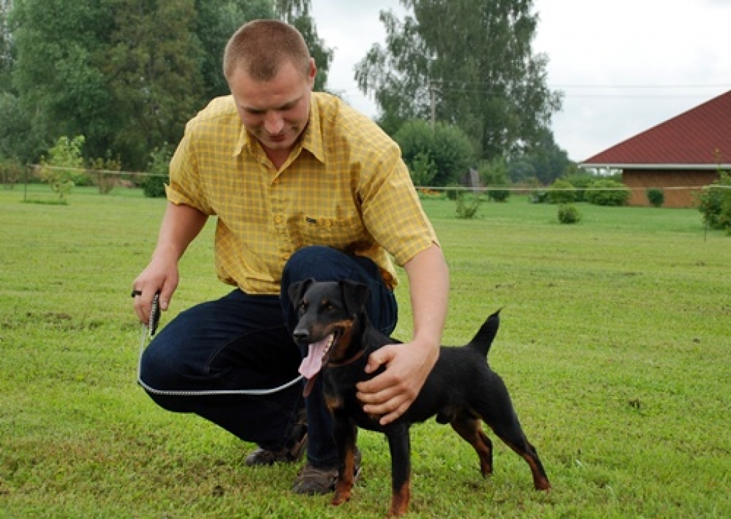 Šķirnes medību suņus nesen vērtēja Latvijas Mednieku kinoloģiskās apvienības 44. izstādē Jelgavas novadā. Galvenais eksperts bija baušķenieks Jānis Bite. Piedāvājam Edgara Piķeļa fotogrāfijās iemūžināto ieskatu šajā izstādē.