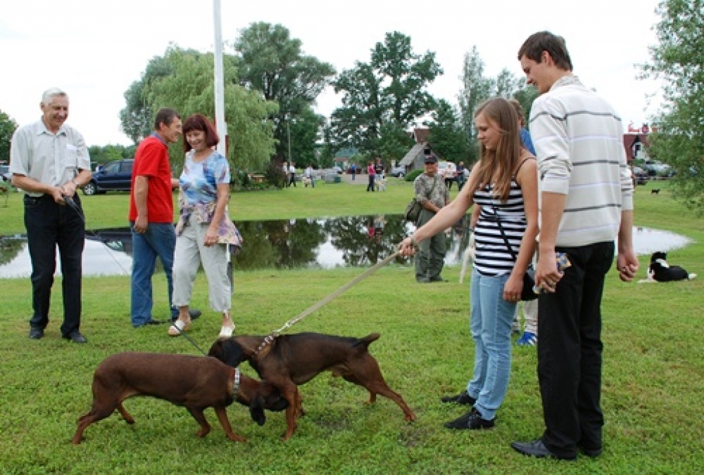 Šķirnes medību suņus nesen vērtēja Latvijas Mednieku kinoloģiskās apvienības 44. izstādē Jelgavas novadā. Galvenais eksperts bija baušķenieks Jānis Bite. Piedāvājam Edgara Piķeļa fotogrāfijās iemūžināto ieskatu šajā izstādē.