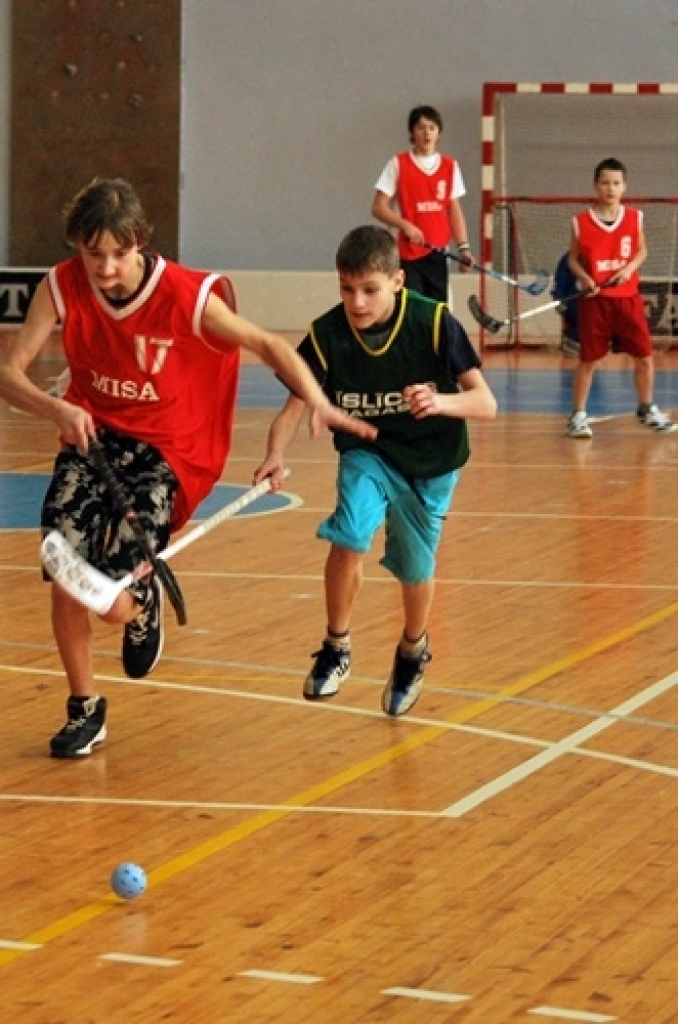 Sporta namā «Mēmele» 28. janvārī notika Bauskas novada Bērnu un jaunatnes sporta skolas rīkotās sacensības florbolā 6. – 7. klašu skolēniem. Kopā piedalījās 11 komandas. Pirmo vietu ieguva Bauskas 1. vidusskolas jaunie sportisti. Otrā...
Autors: Uldis Varnevičs