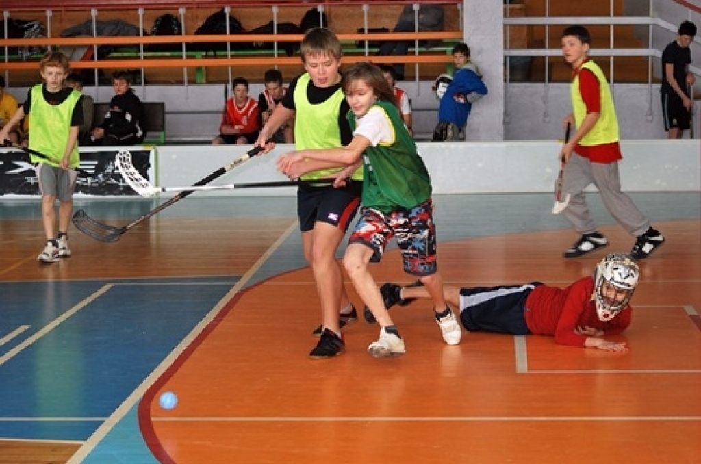 Sporta namā «Mēmele» 28. janvārī notika Bauskas novada Bērnu un jaunatnes sporta skolas rīkotās sacensības florbolā 6. – 7. klašu skolēniem. Kopā piedalījās 11 komandas. Pirmo vietu ieguva Bauskas 1. vidusskolas jaunie sportisti. Otrā...
Autors: Uldis Varnevičs