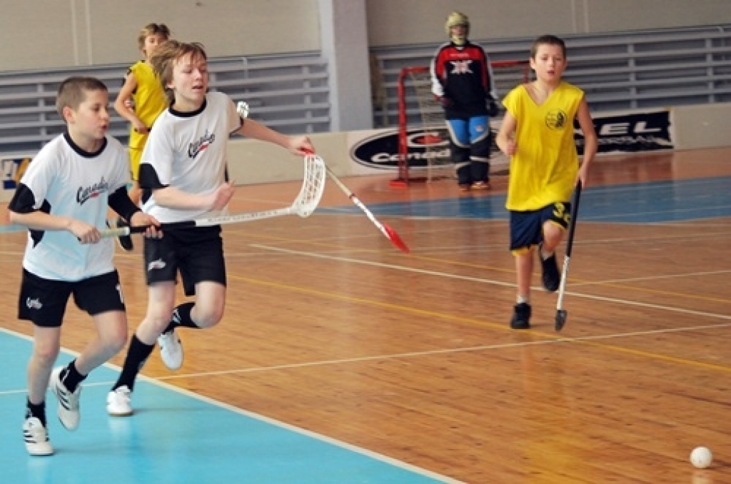 Sporta namā «Mēmele» 28. janvārī notika Bauskas novada Bērnu un jaunatnes sporta skolas rīkotās sacensības florbolā 6. – 7. klašu skolēniem. Kopā piedalījās 11 komandas. Pirmo vietu ieguva Bauskas 1. vidusskolas jaunie sportisti. Otrā...
Autors: Uldis Varnevičs