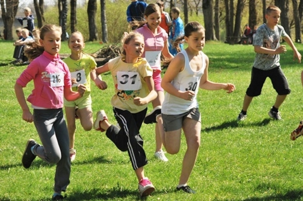 29. aprīlī notika Bauskas novada bērnu un jaunatnes sporta skolas (BJSS) rīkotais kross Bauskas pilskalna parkā.
Bija ieradušās komandas no trim novadu skolām – Iecavas, Bauskas un Rundāles. Iecavnieki startēja ārpus konkurences. ...
Autors: Uldis Varnevičs