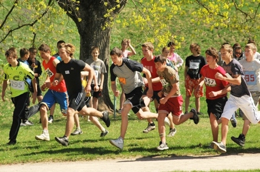 29. aprīlī notika Bauskas novada bērnu un jaunatnes sporta skolas (BJSS) rīkotais kross Bauskas pilskalna parkā.
Bija ieradušās komandas no trim novadu skolām – Iecavas, Bauskas un Rundāles. Iecavnieki startēja ārpus konkurences. ...
Autors: Uldis Varnevičs