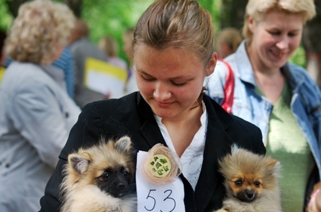 Bauskas pilskalna estrādē sestdien, 18. jūnijā, notika kinoloģiskā kluba «Ako» rīkota suņu izstāde.
Atšķirībā no citiem gadiem, šoreiz skatītāju bija vairāk, toties suņu – nedaudz mazāk. Pasākums notiek jau vairākus gadus, un daudzi jau...
Autors: Uldis Varnevičs