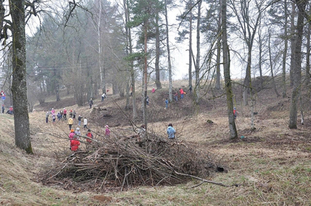 Visos pagastos Vecumnieku novadā rosība valdīja ciemu centros, daudzdzīvokļu māju apkārtnē, kā arī ūdenstilpju tuvumā. Bārbelē talcinieki sakopa Rukšezeru, Kurmenē un Skaistkalnē – Mēmeles krastu, Stelpē tika satīrītas peldvietas karjera...