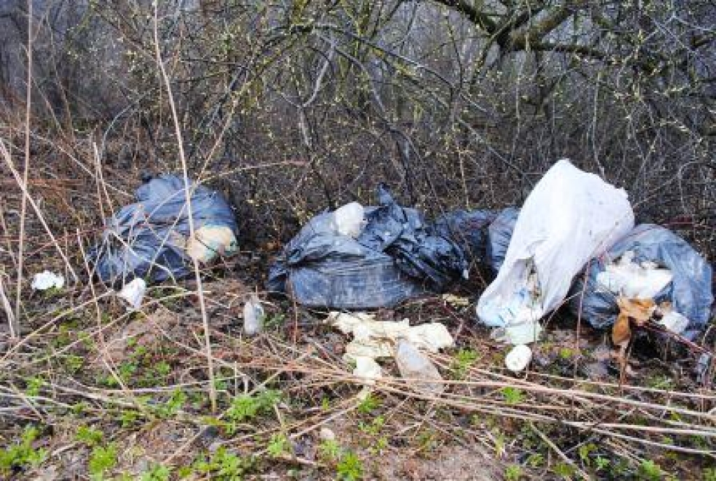 Bauskas novadā talkošanas vietu bija vairāk nekā iepriekš tika uzrādīts 21. aprīļa Lielās talkas norišu plānā. Ļaudis strādāja pilsētā un novada visos pagastos.
Rundāles novadā par vides tīrību gādāja jauniešu divu nevalstisko organizāciju...
Autors: Juris Iļņickis