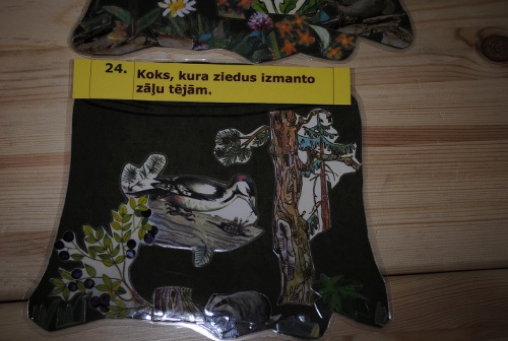 Kopā ar folkloras kopu „Trejupe” 8. aprīlī Lieldienas tika svinētas Bauskas kultūras centrā. Svinētāju priekam kultūras centra zālē bija pat izkārtas šūpoles.
Autors: Kristaps Ābelnieks
