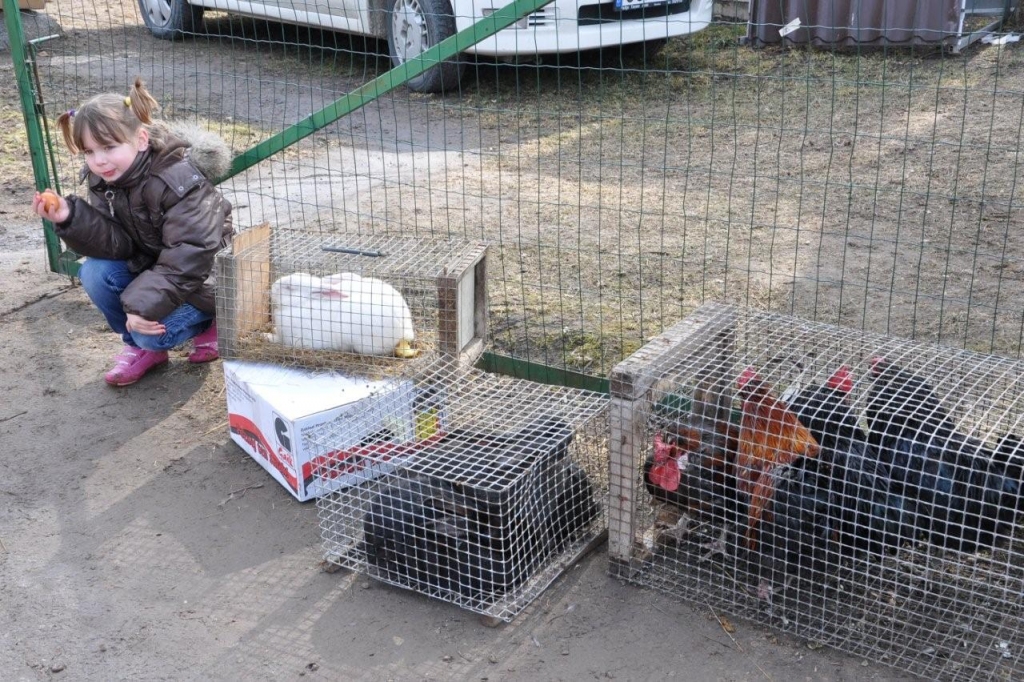 7.aprīlī, vēl saulainā laikā, Vecumnieku tirgus bija rosības pilns. Tur bija ne tikai tirgošanās, bet arī dejas, dziesmas, olu krāsošana.