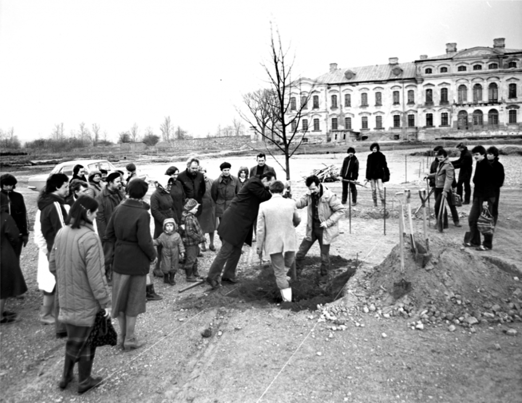 Pirmās liepiņas stādīšana Rundāles pils parkā 1984. gadā.
Autors: No Rundāles pils muzeja krājuma