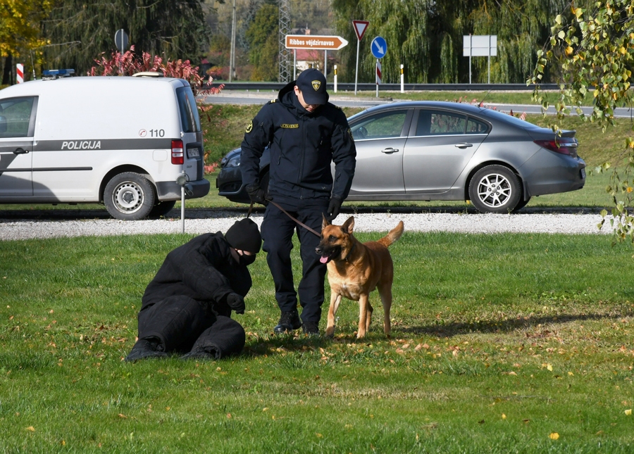 Apmācīts suns nenoliedzami ir ātrāks par noziedznieku, bēgošu pārkāpēju noķert un gāzt gar zemi sunim ir azarts.
Autors: Ivars Bogdanovs