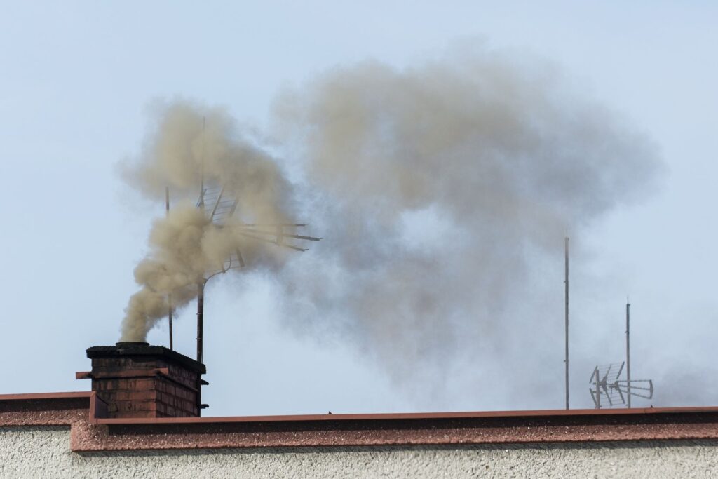 BauskasDzive.lv raksta attēla aizvietotājs