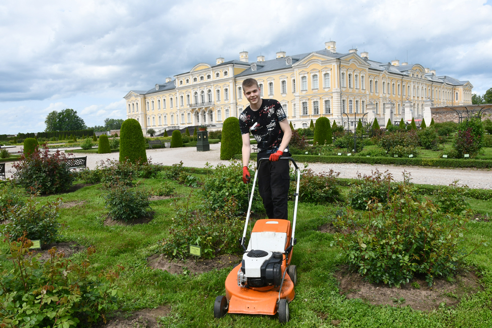 BauskasDzive.lv raksta attēla aizvietotājs